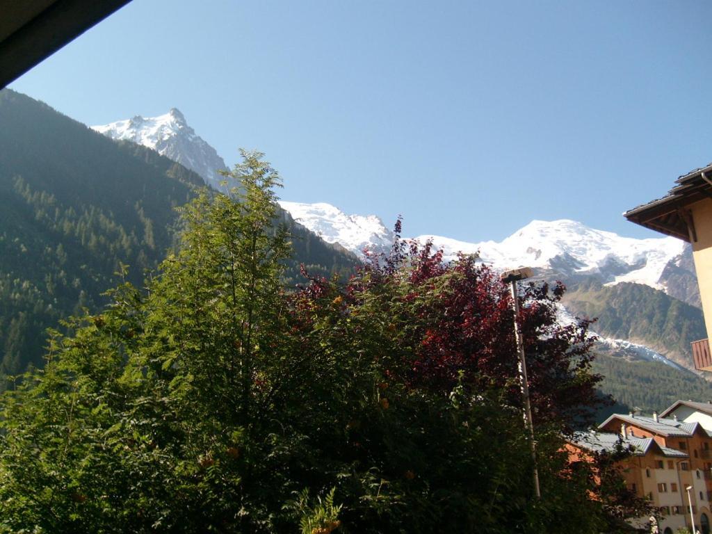 Appartement T2 Chamonix Centre Balcon Vue Mont Blanc Exterior photo